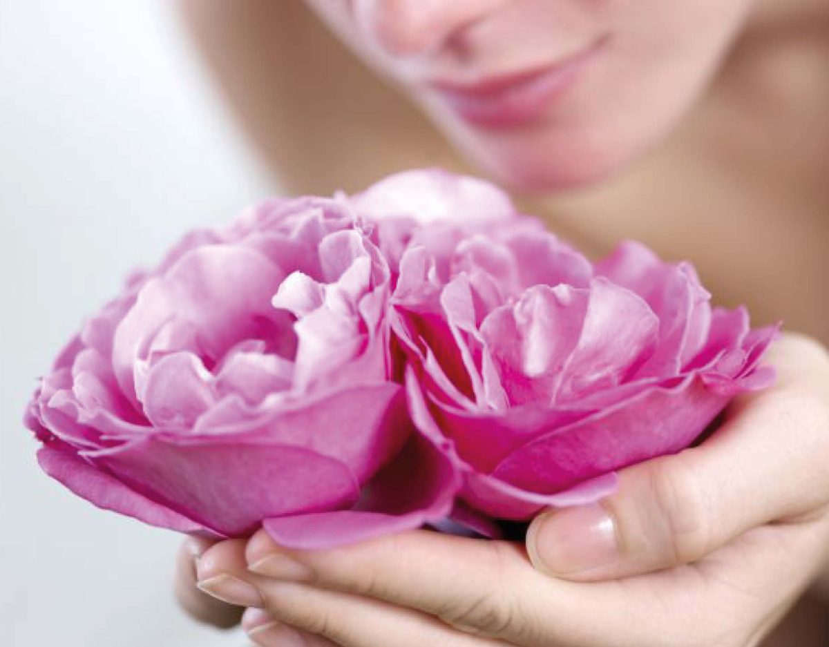 scent perfume scent company2