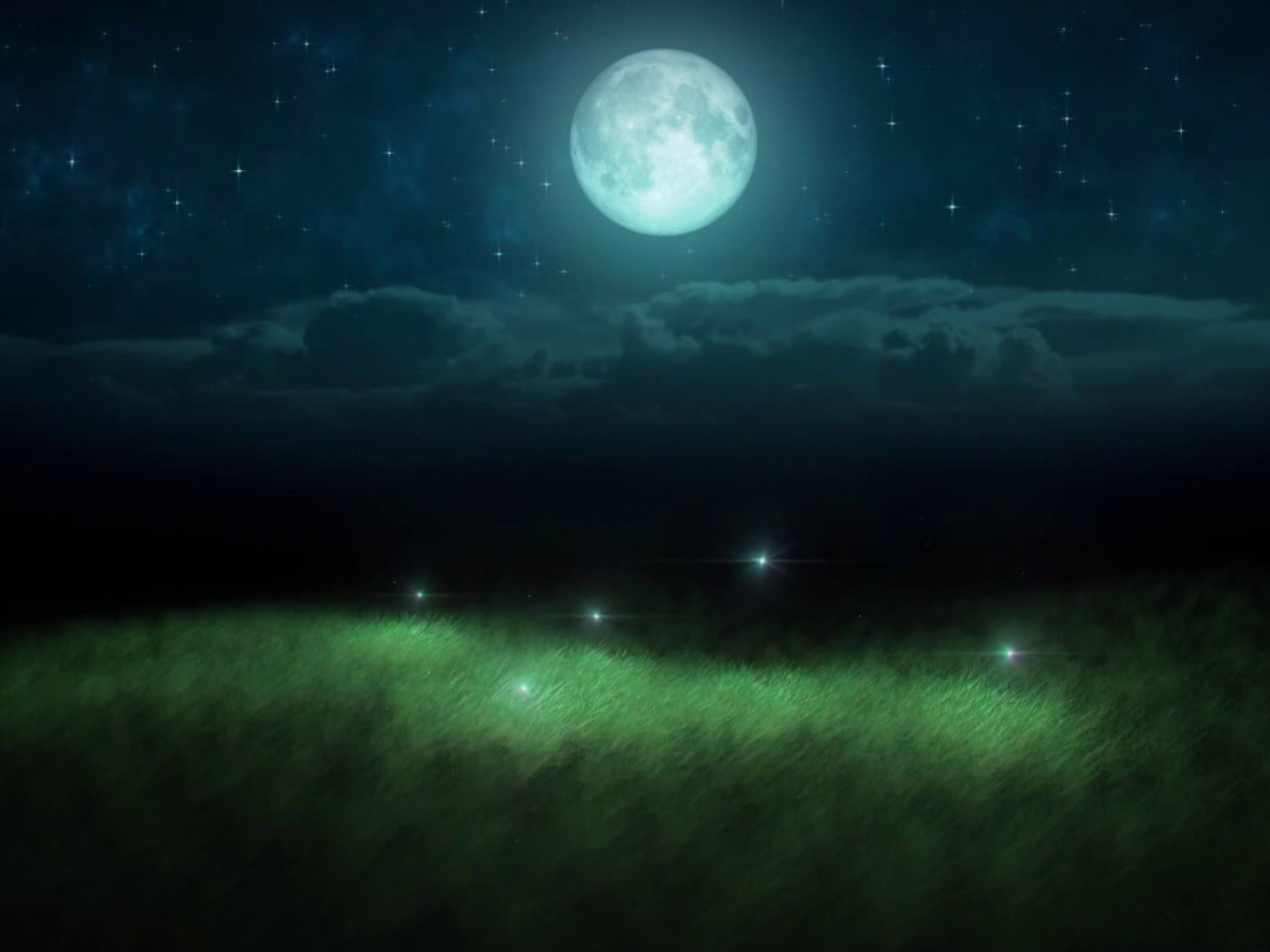 Освещает луна песня. Светлячки ночью. Ночное поле. Ночная Поляна с луной. Поляна ночью.